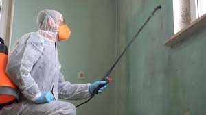 Best Mold Prevention Services  in Blue Rapids, KS